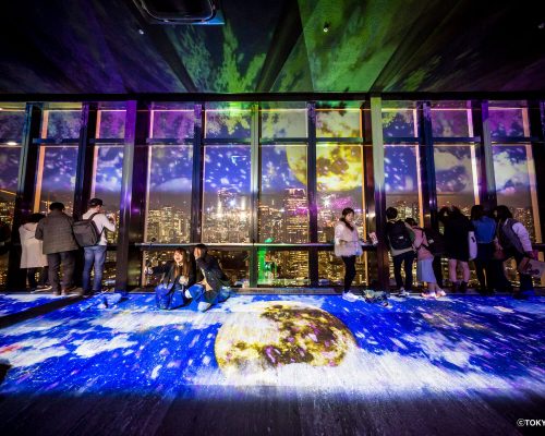 TOKYO TOWER CITY LIGHT FANTASIA 〜夜桜バージョン〜