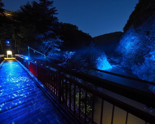北海道 定山渓「JOZANKEI NATURE LUMINARIE 〜STAR BRIGHT FOREST〜」