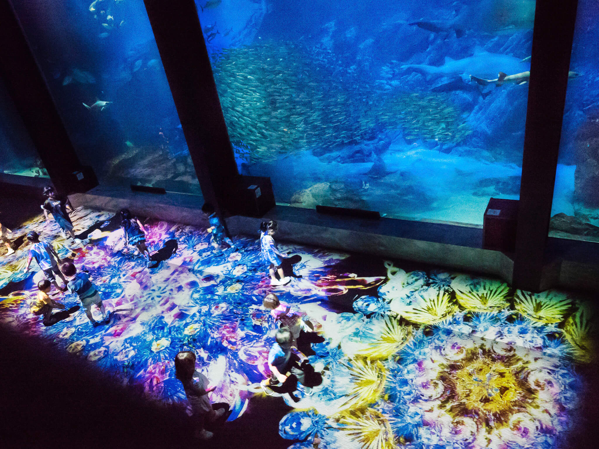 マリンワールド海の中道「古代のすいぞくかん」