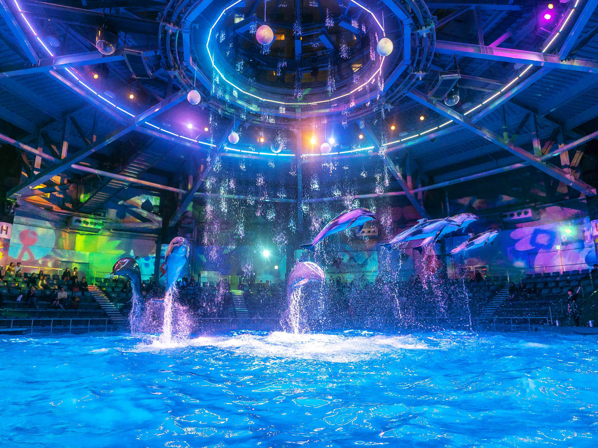 マクセル アクアパーク品川「AQUA POP HALLOWEEN Directed BY NAKED」