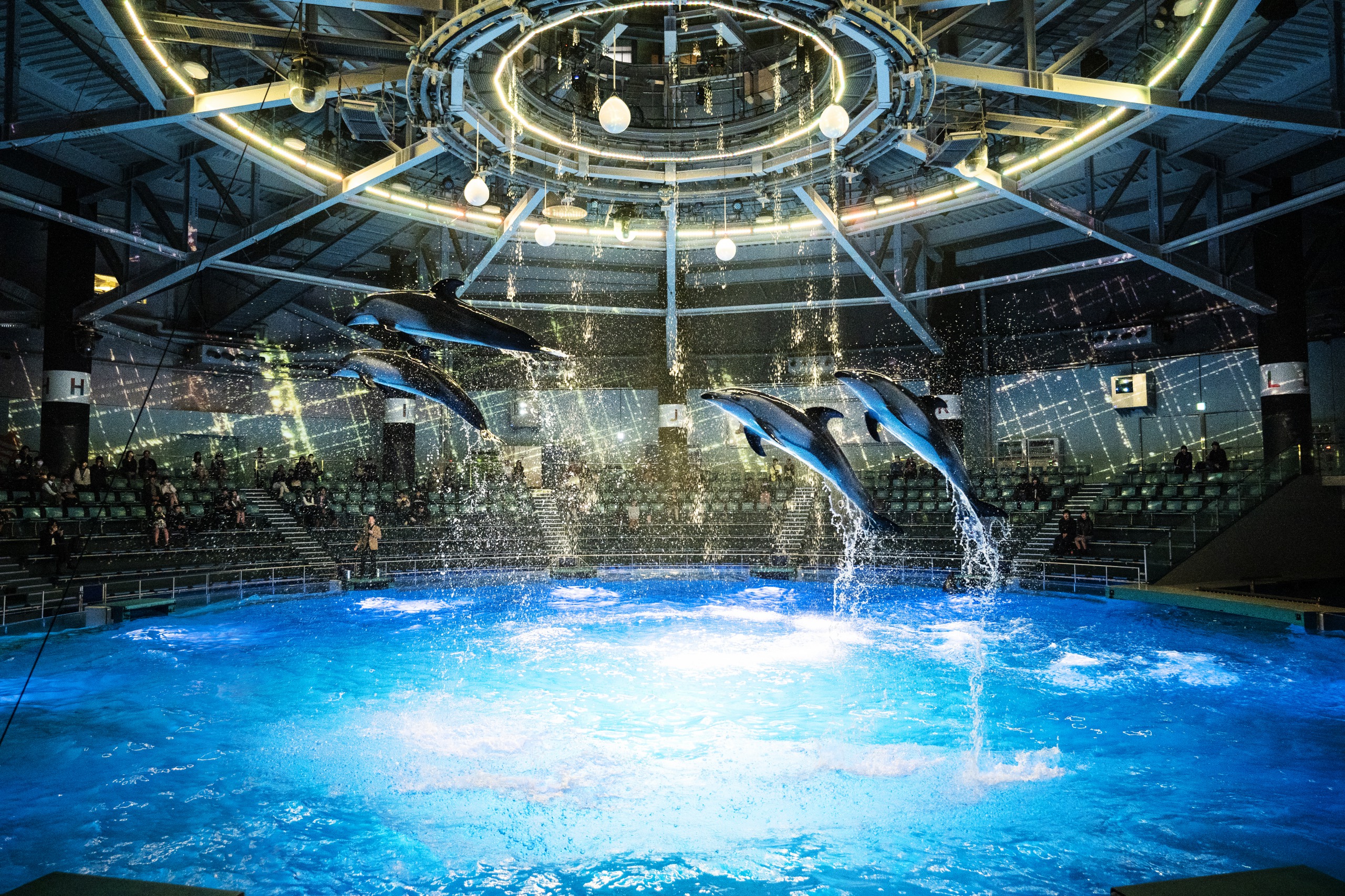 マクセル アクアパーク品川「STAR AQUARIUM -Bright Christmas- Directed BY NAKED」