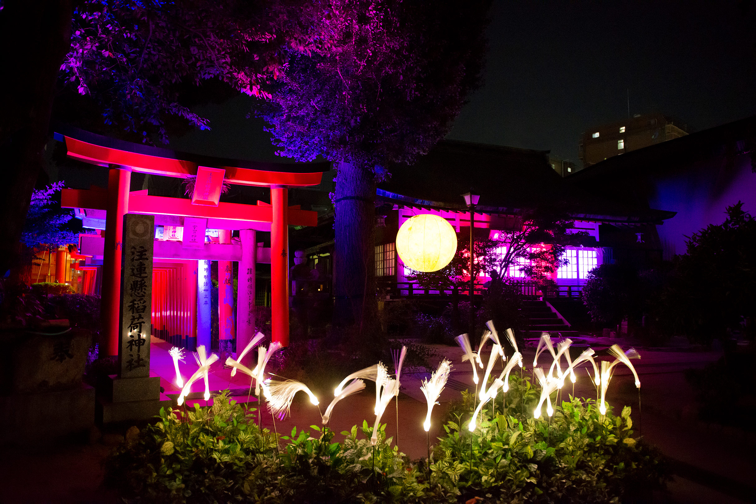 櫛田神社 月ノ宴 Directed by NAKED