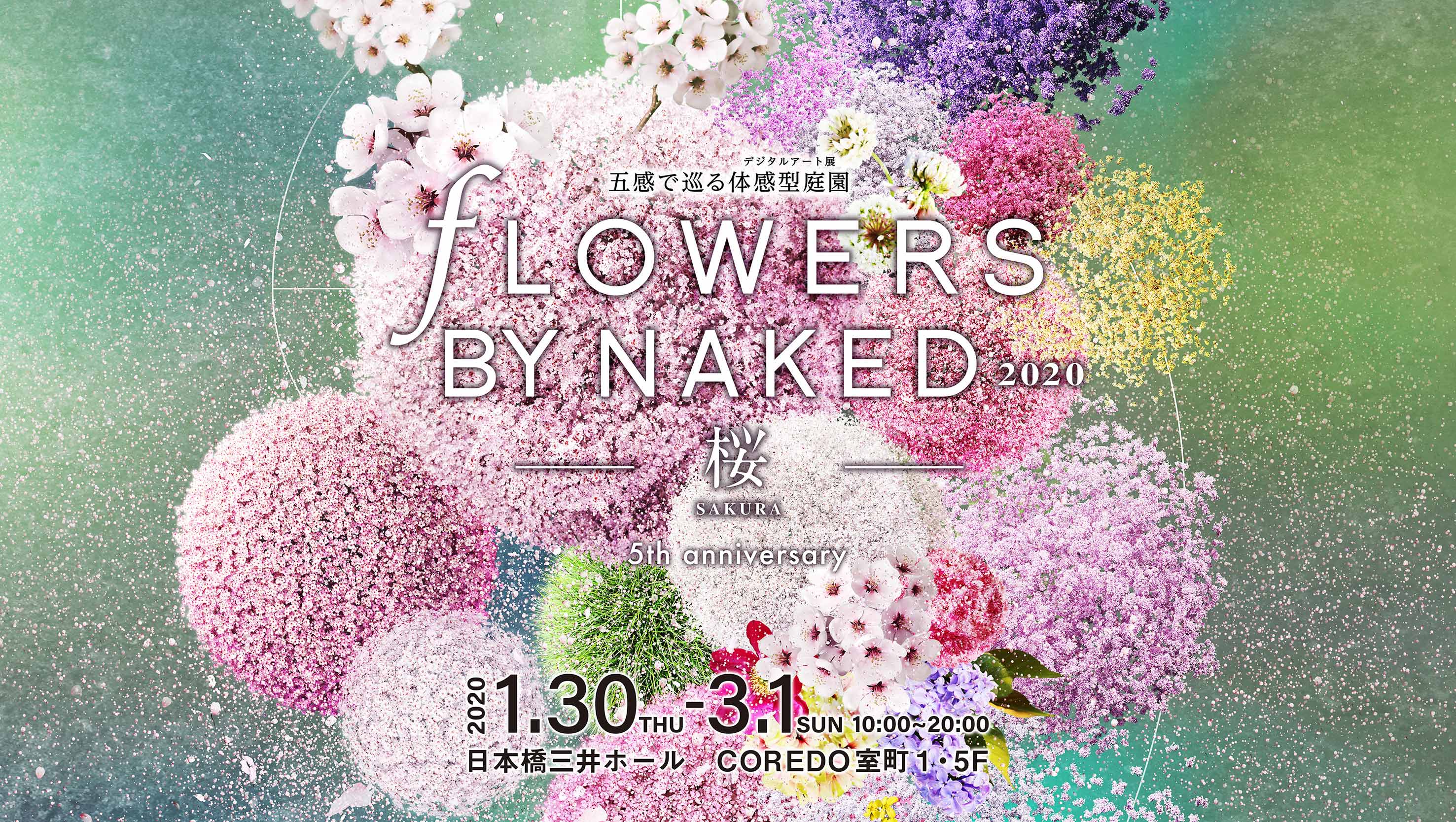 FLOWERS BY NAKED 2020 ー桜ー