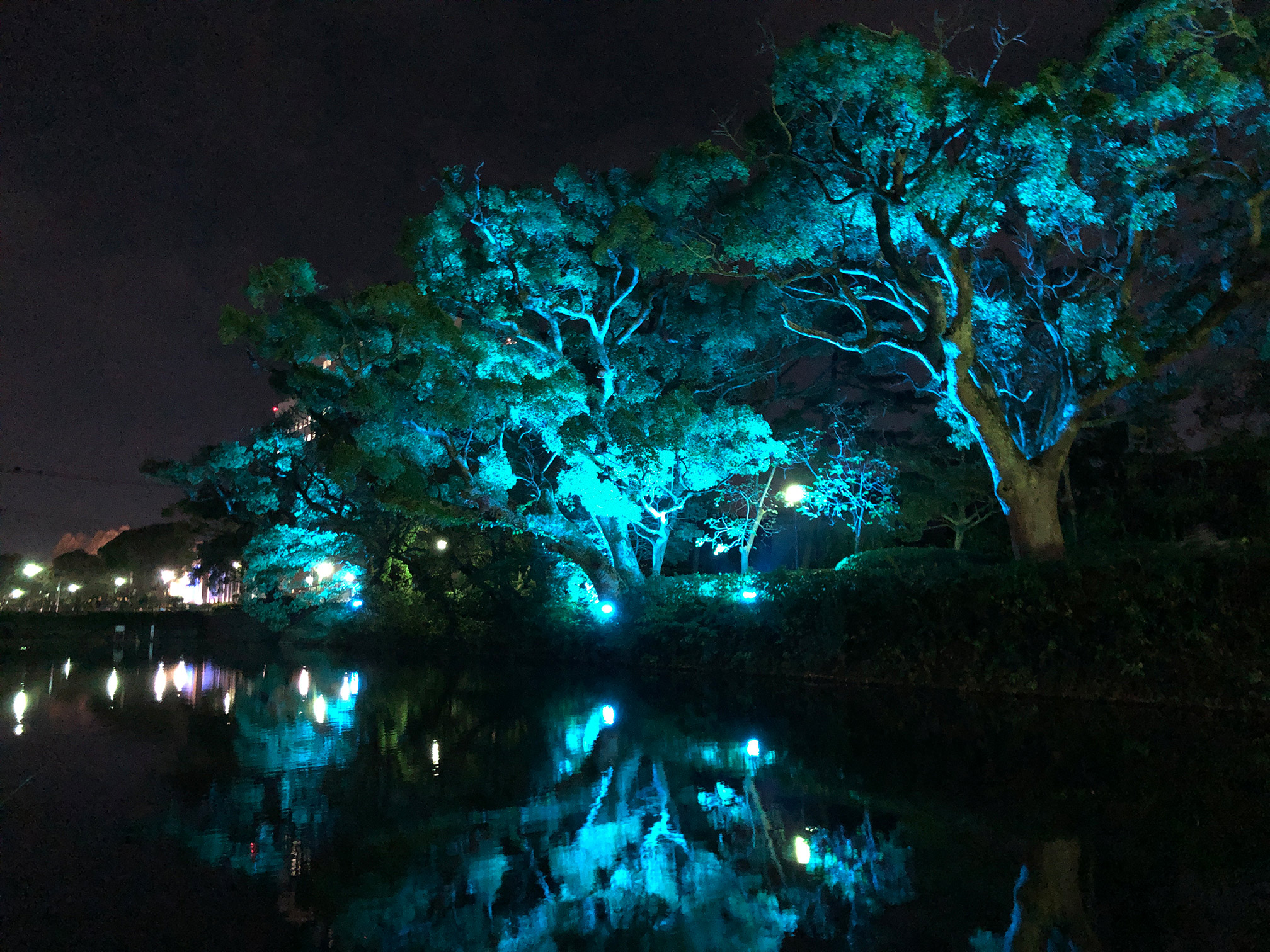 佐賀城公園北側お濠ライトアップ