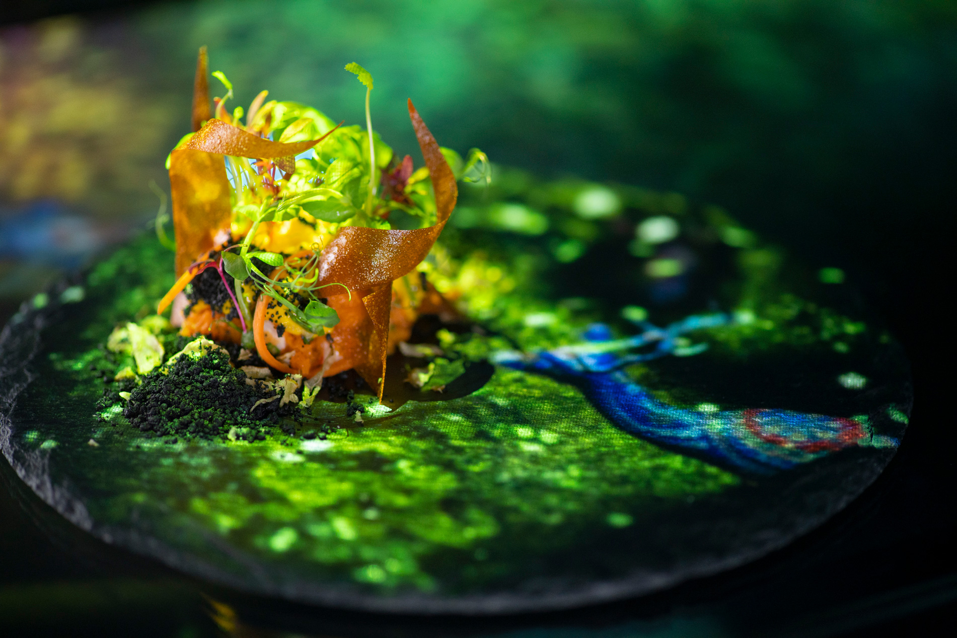 TREE by NAKED yoyogi park｜デイタイムコース “Day style”