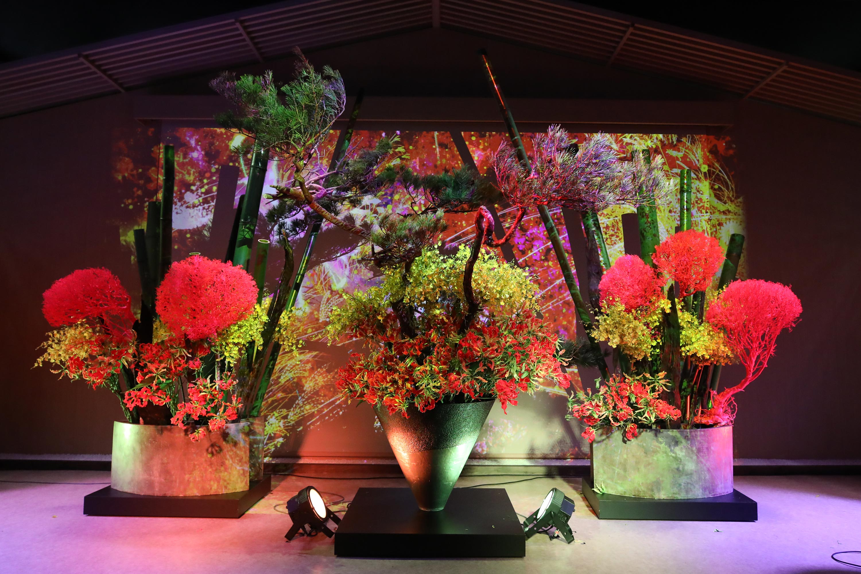 SEGASammy presents NAKED, INC. × 池坊 collaborated with 京都𠮷兆 Live performance show